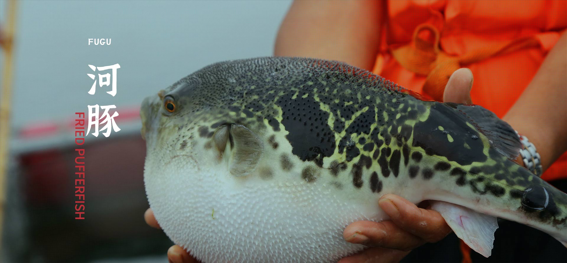 Bwin����Ӯ����(CHINA)�ٷ���վ-��ȫ���